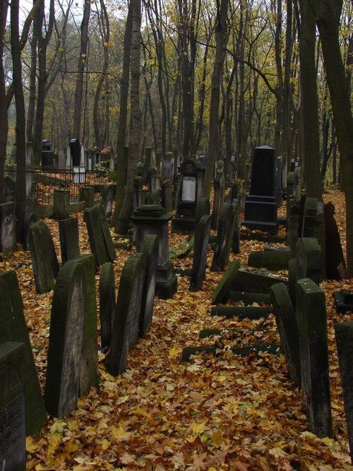 Headstone Graves Set Camp Lake WI 53109